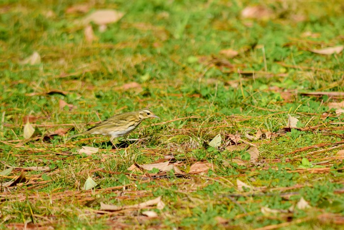 a0127090_094810.jpg