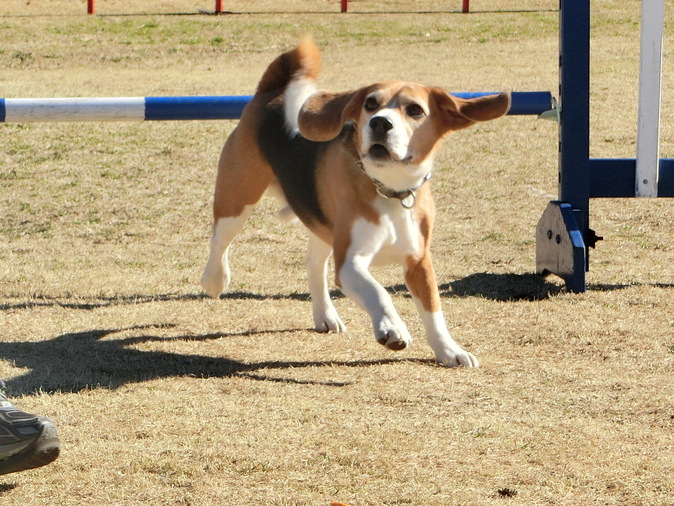 a0319693_721461.jpg