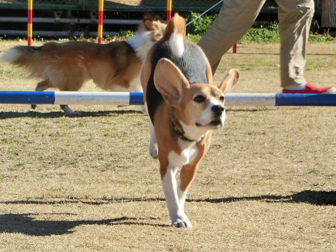 a0319693_7243622.jpg