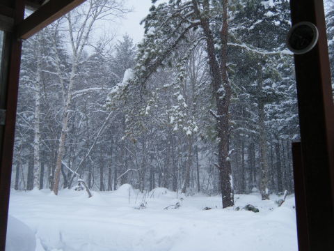 予報どうり、今日は雪です。_b0343293_22034374.jpg