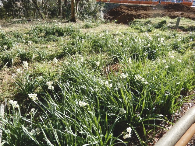 e0025300_20362720.jpg
