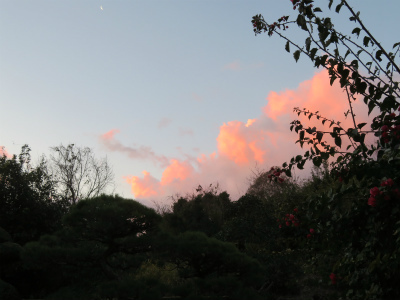 c0125501_22364496.jpg