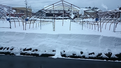c0163102_22515457.jpg
