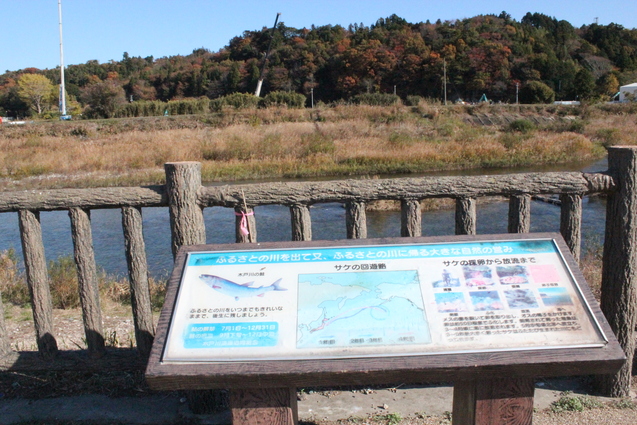 a0044103_6392076.jpg