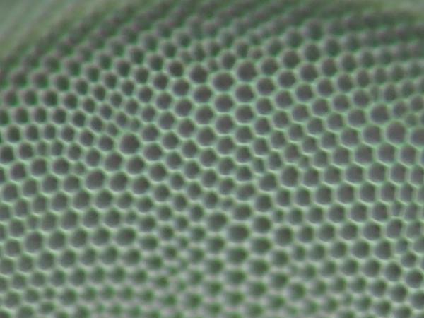 高画素もどき_c0164709_21104580.jpg