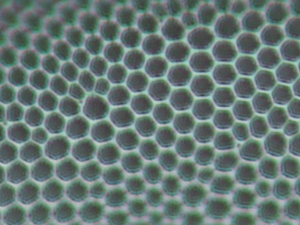 高画素もどき_c0164709_21105154.jpg