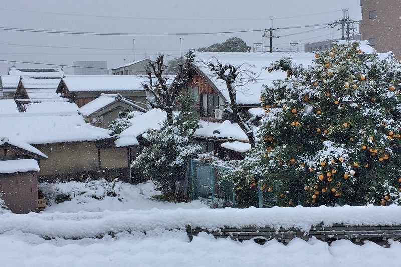 雪町寸景 其の一_f0032011_20163677.jpg