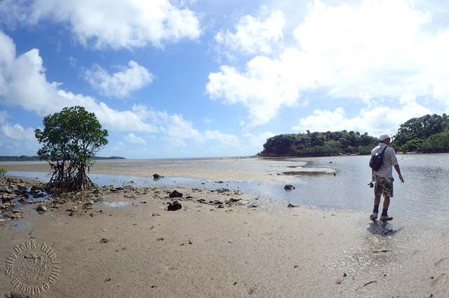 f0315711_18562576.jpg