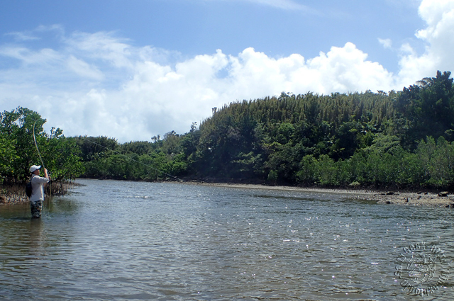 f0315711_18562668.jpg