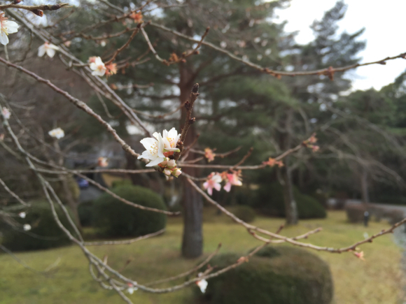 倭姫宮   神宮美術館   神宮徴古館_d0039312_20525544.jpg