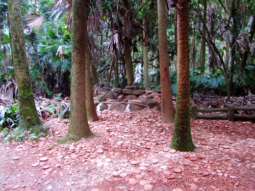 c0219820_23103559.jpg