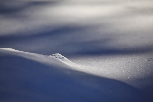 ～　雪の乗鞍高原にて　Ⅰ　～_e0242721_07541565.jpg