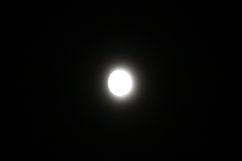 f0209122_17352766.jpg