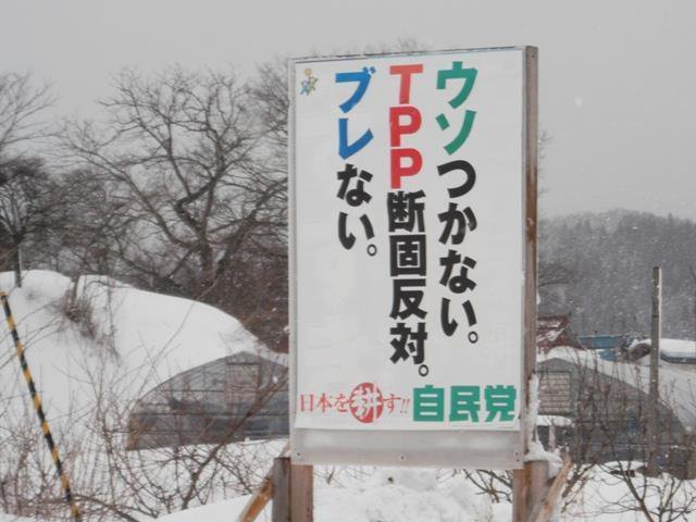 f0133526_19125615.jpg