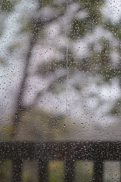 c0327528_15065368.jpg