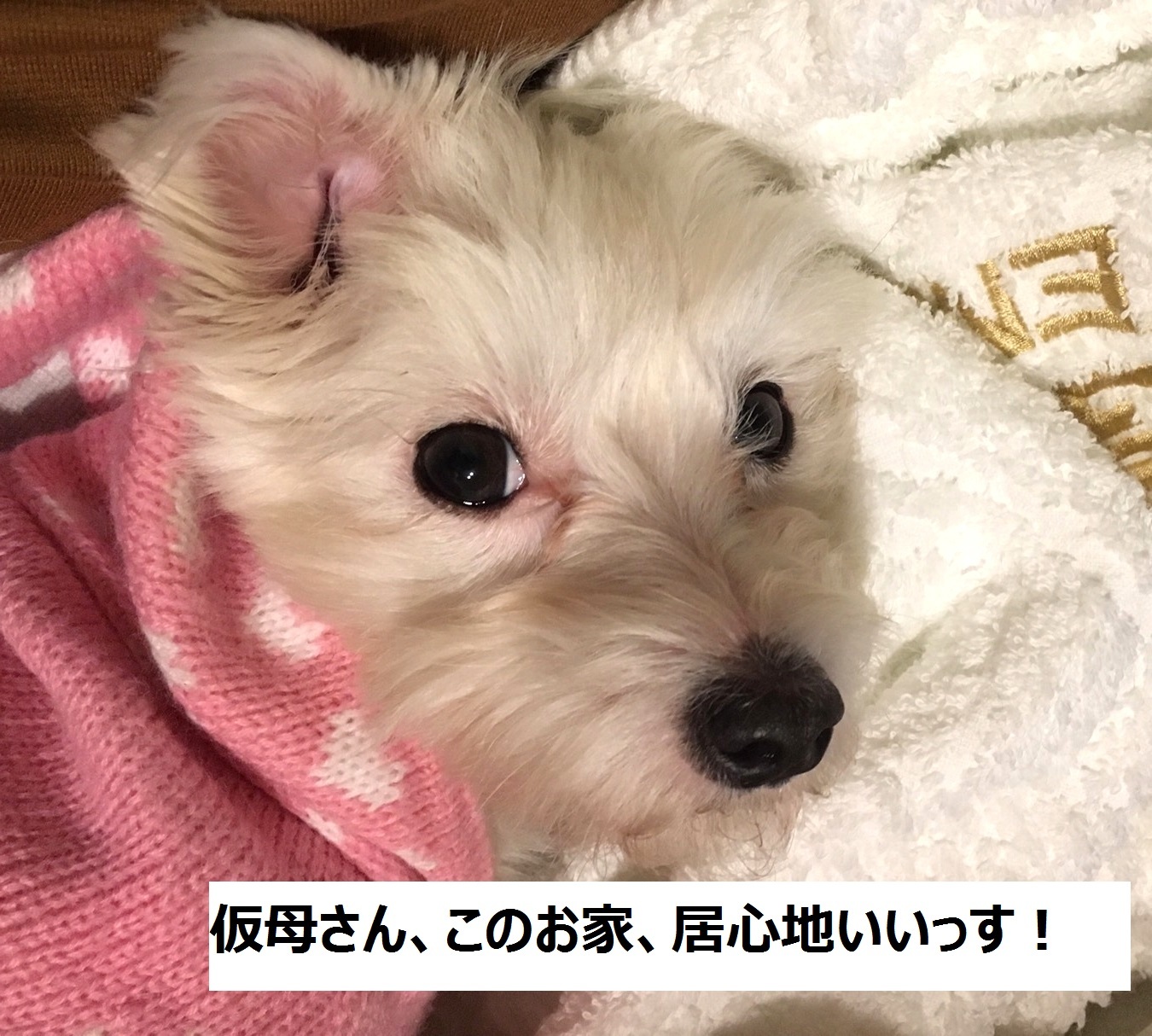 a0012531_17020931.jpg
