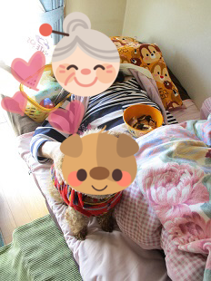 b0320131_12240466.png