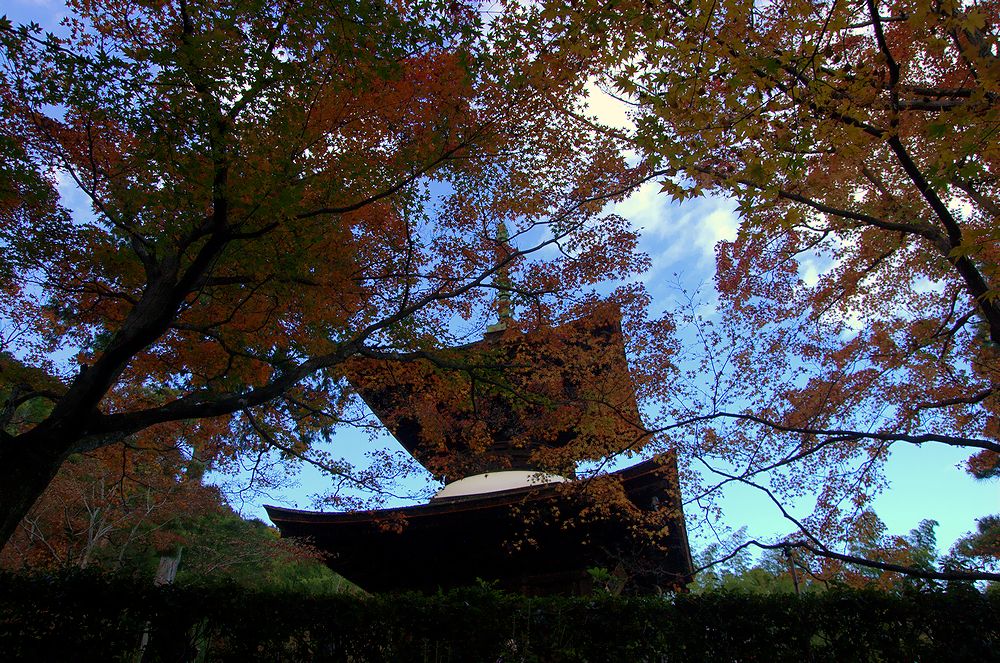 来ぬ人を松帆の浦の夕なぎに　焼くや藻塩の身もこがれつつ 落柿舎・常寂光寺(アーカイブス）_e0223031_1362355.jpg