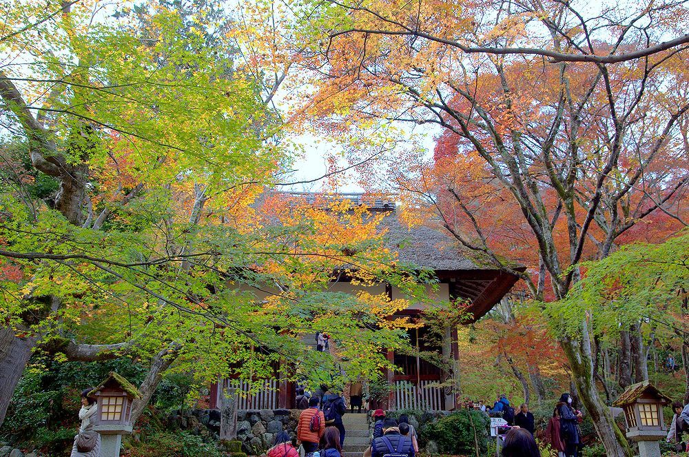 来ぬ人を松帆の浦の夕なぎに　焼くや藻塩の身もこがれつつ 落柿舎・常寂光寺(アーカイブス）_e0223031_233451.jpg