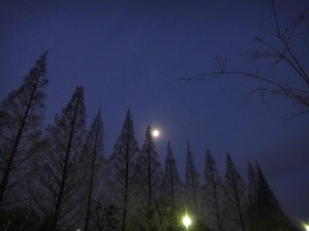 第22回大阪緑内障研究会 その2 (990)_f0088231_10414443.jpg
