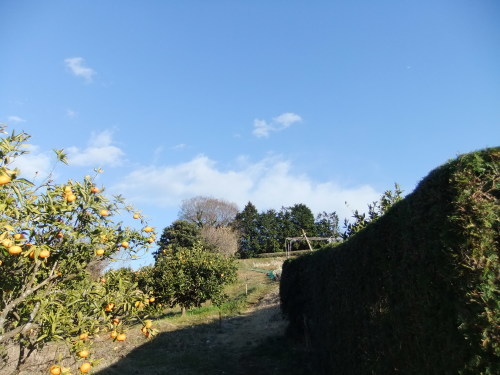 b0137932_14041426.jpg