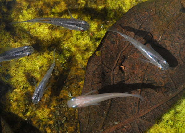 e0097534_16311361.jpg