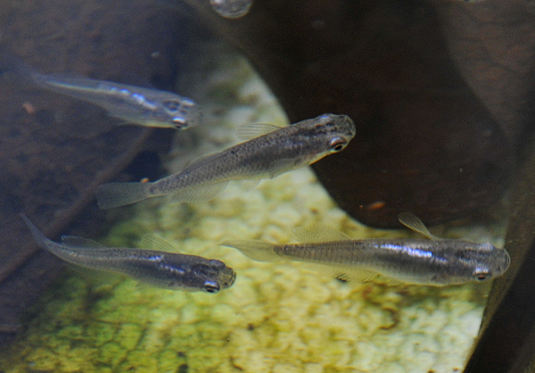 e0097534_1633477.jpg