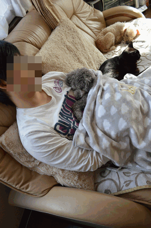 c0136736_15551986.gif