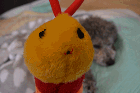 c0136736_15553463.gif