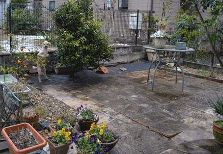 c0136736_15560031.gif