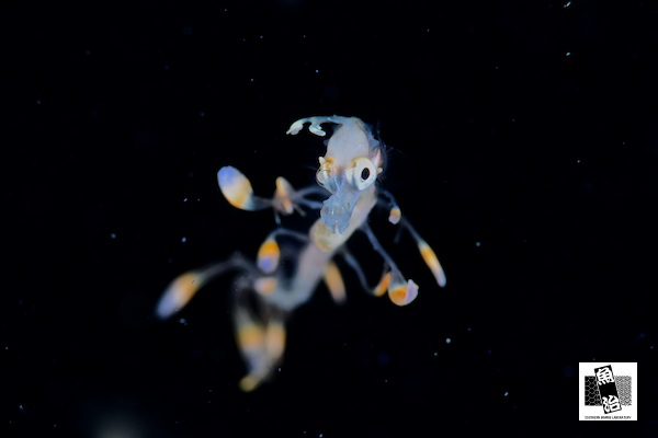 a0150039_17412690.jpg