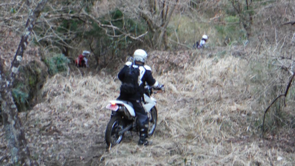 e0086244_20432207.jpg