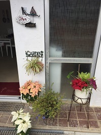 1月23日 ティンダバナ?てぃんだ花!_b0158746_12454487.jpg