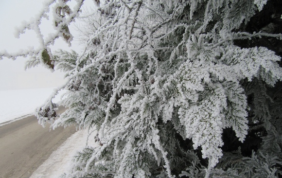 f0286647_22331178.jpg