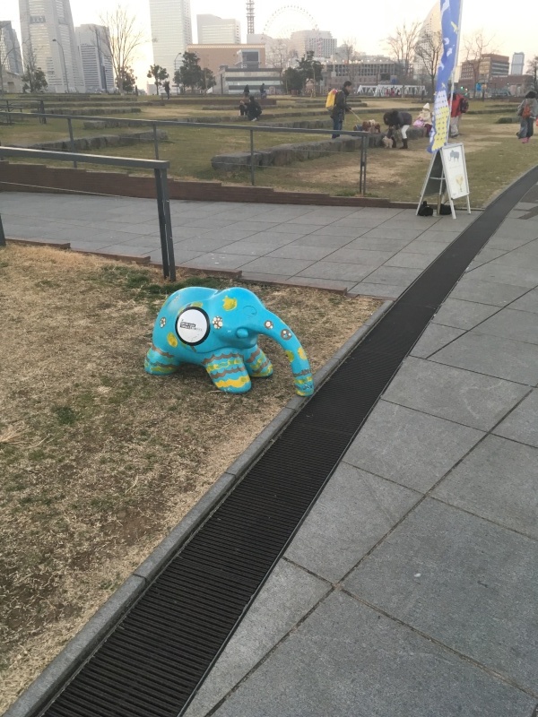 a0326649_15420057.jpeg