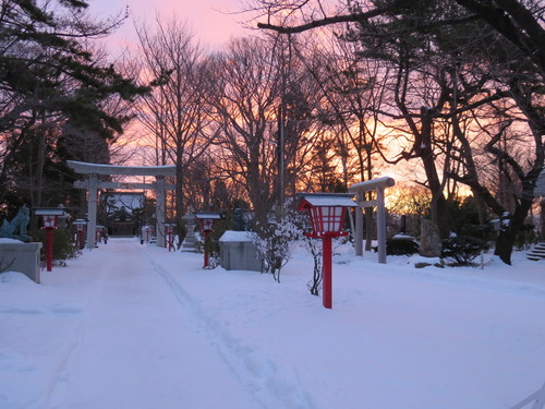 b0238249_20252445.jpg
