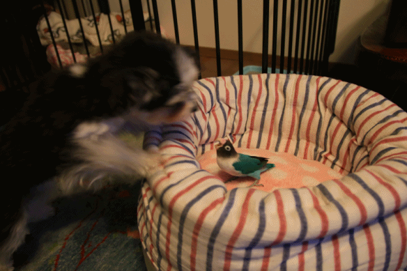 c0145250_09505264.gif