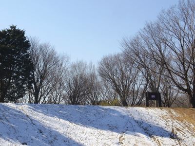 b0220251_19455775.jpg