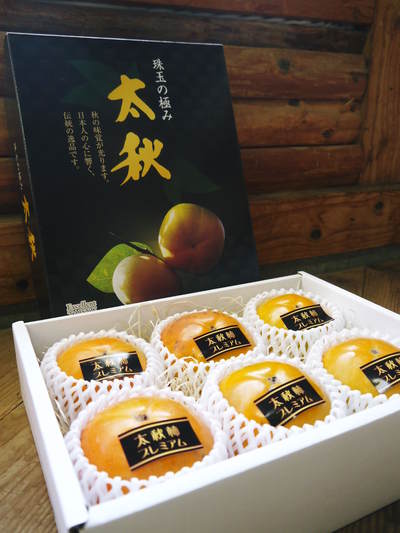 太秋柿 剪定前の冬の様子_a0254656_18312250.jpg