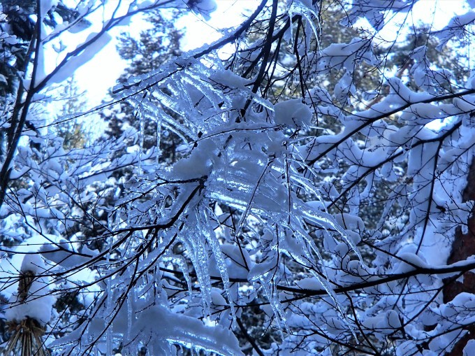 f0161757_10083734.jpg