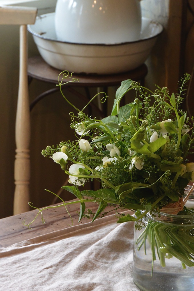 豆の花。。。_a0229658_14563341.jpg
