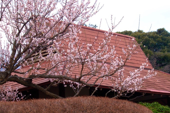 a0248459_14463929.jpg
