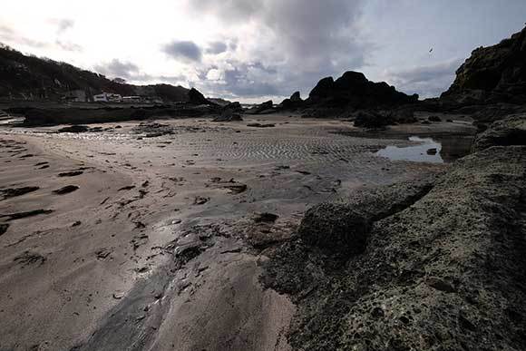 e0220159_19374400.jpg