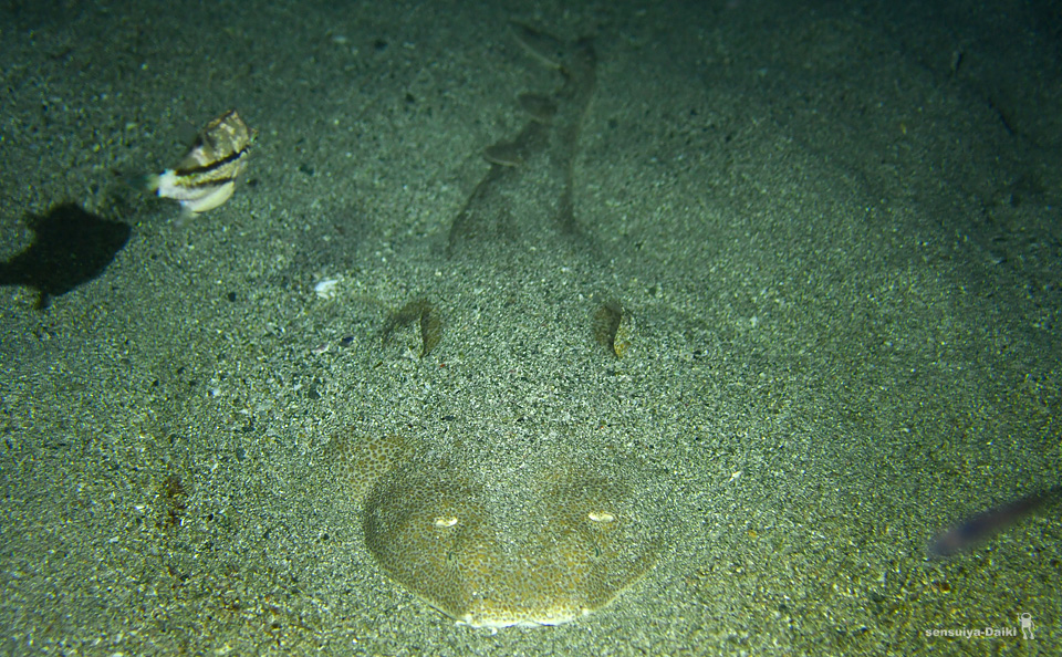 e0158261_22254042.jpg