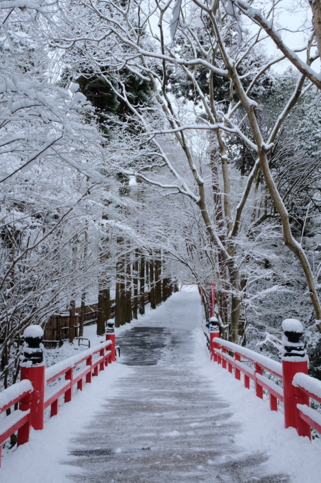  京都　　東福寺界隈　　1/15 雪積もったけど1時間半しか時間ないの巻_f0021869_22214019.jpg