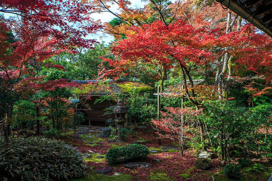 紅葉2016！　～妙心寺塔頭　大法院～_b0128581_2023356.jpg