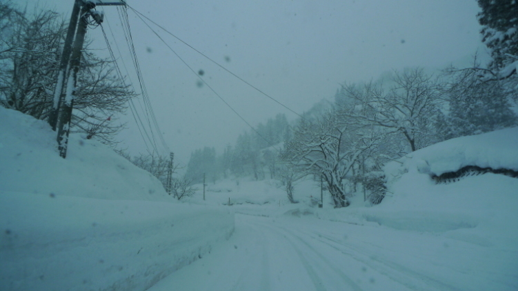 c0212083_18220120.jpg
