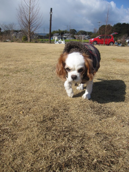 e0121583_20133801.jpg