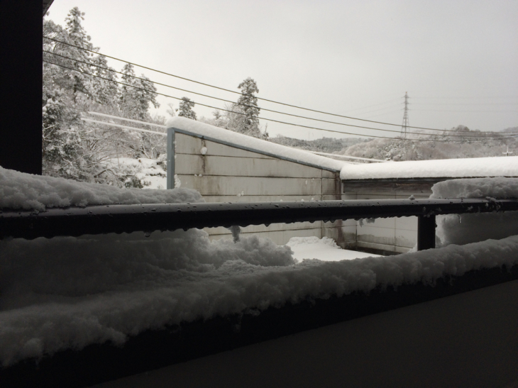 おはようございます   松江は大雪警報発令中_b0174284_09492654.jpg