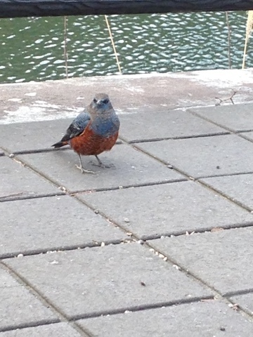 c0310987_09470792.jpeg